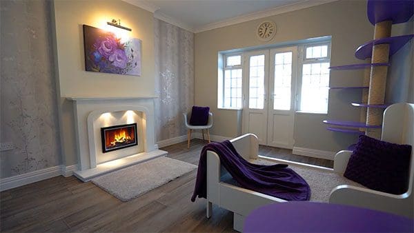 Lilac Cat Suite at The Grove Luxury Cat Hotel in Staffordshire, UK